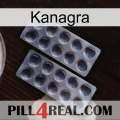 Kanagra 31